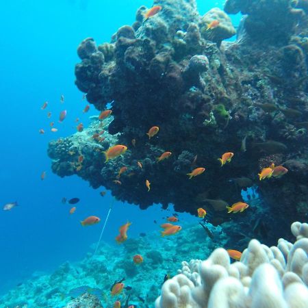 Rasdhoo Coralville Bagian luar foto