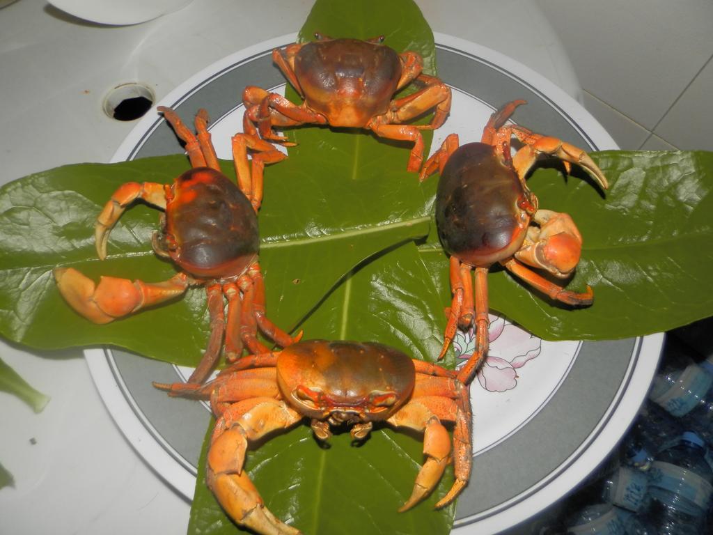 Rasdhoo Coralville Bagian luar foto