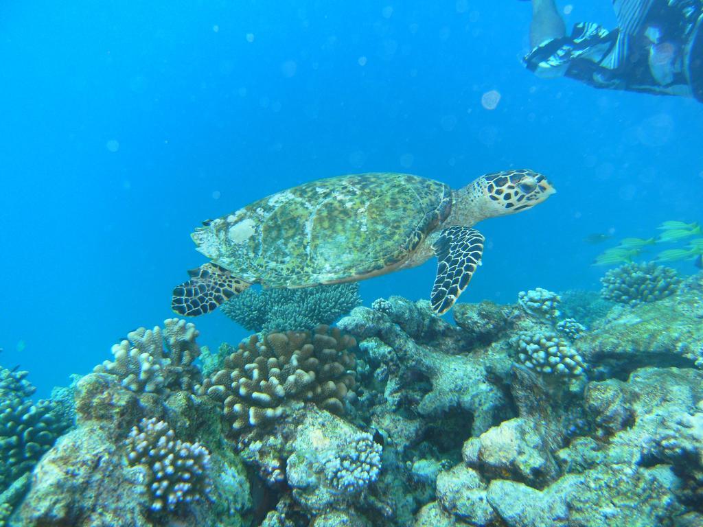 Rasdhoo Coralville Bagian luar foto