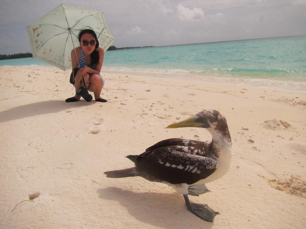Rasdhoo Coralville Bagian luar foto