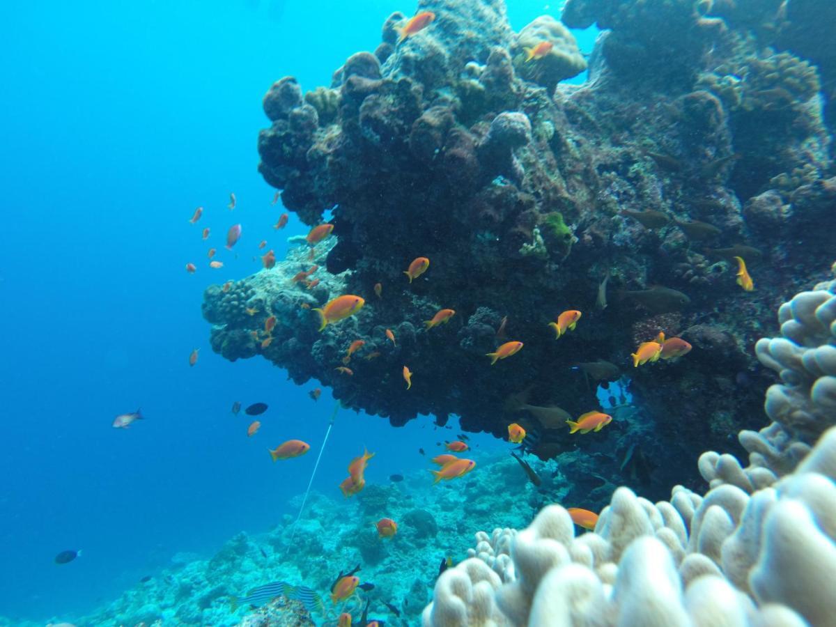 Rasdhoo Coralville Bagian luar foto